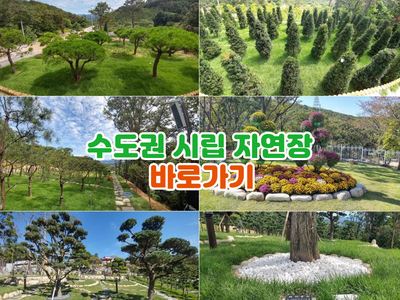 수도권 - 시립 자연장 안내